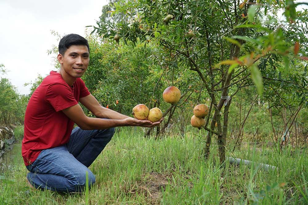 Lieu trong cay la, chang trai mien Tay bat ngo thu 1 ty dong/nam-Hinh-3