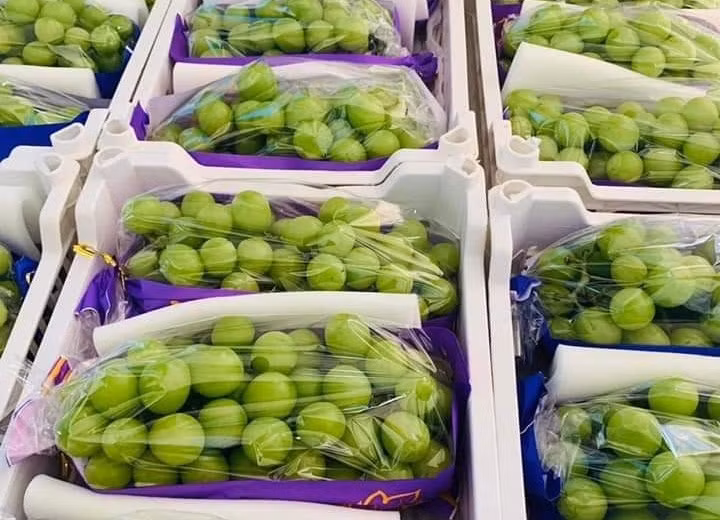 Nho sua duoc ban day cho Viet voi gia chi tu 99 nghin dong/kg-Hinh-4