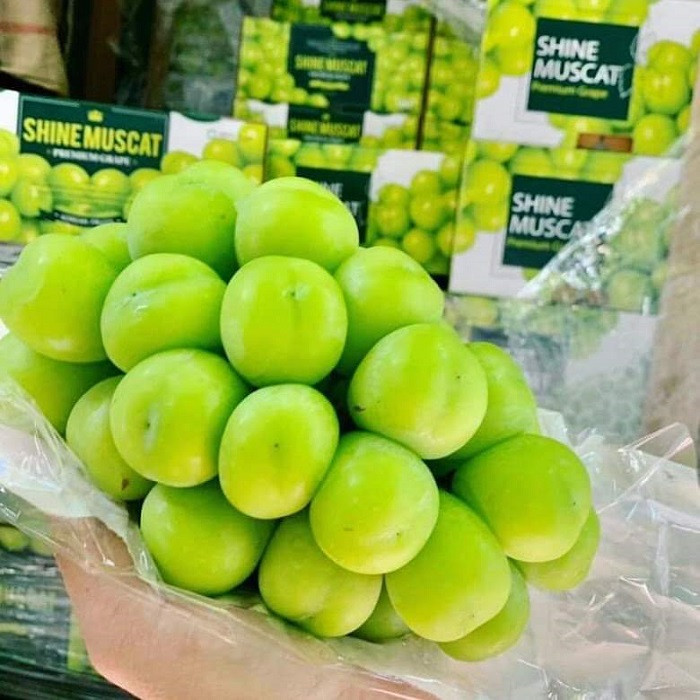 Nho sữa được bán đầy chợ Việt với giá chỉ từ 99 nghìn đồng/kg Nho sua duoc ban day cho Viet voi gia chi tu 99 nghin dong/kg