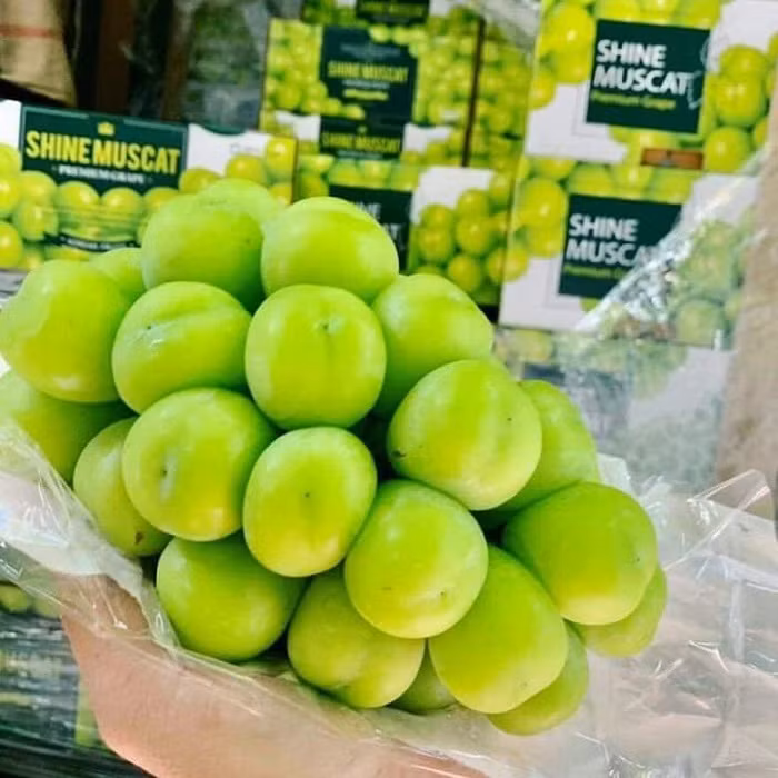 Nho sua duoc ban day cho Viet voi gia chi tu 99 nghin dong/kg