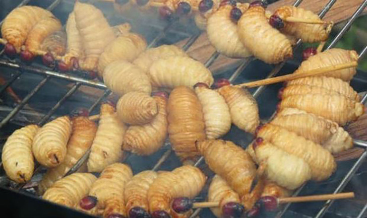 Loai la trong beo nuc, ngoe nguay, hoa ra la dac san hiem-Hinh-6