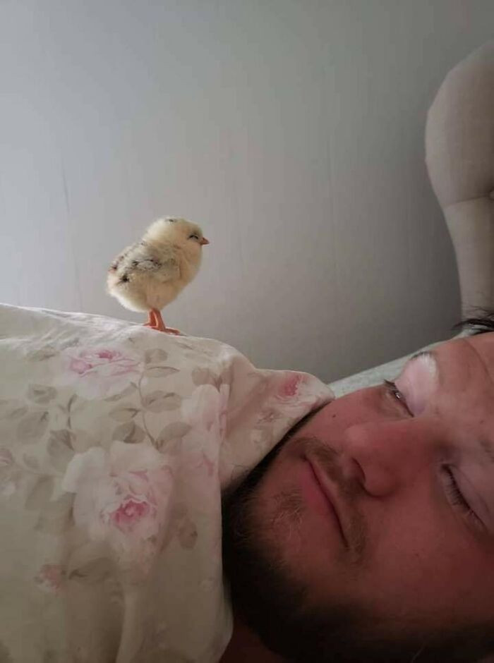 "Chào buổi sáng".