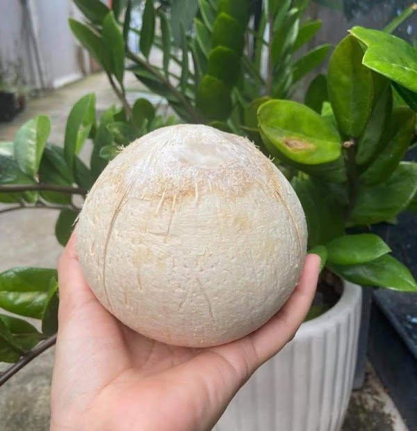 6 gio vang trong ngay uong nuoc dua phat huy toi da cong dung-Hinh-2