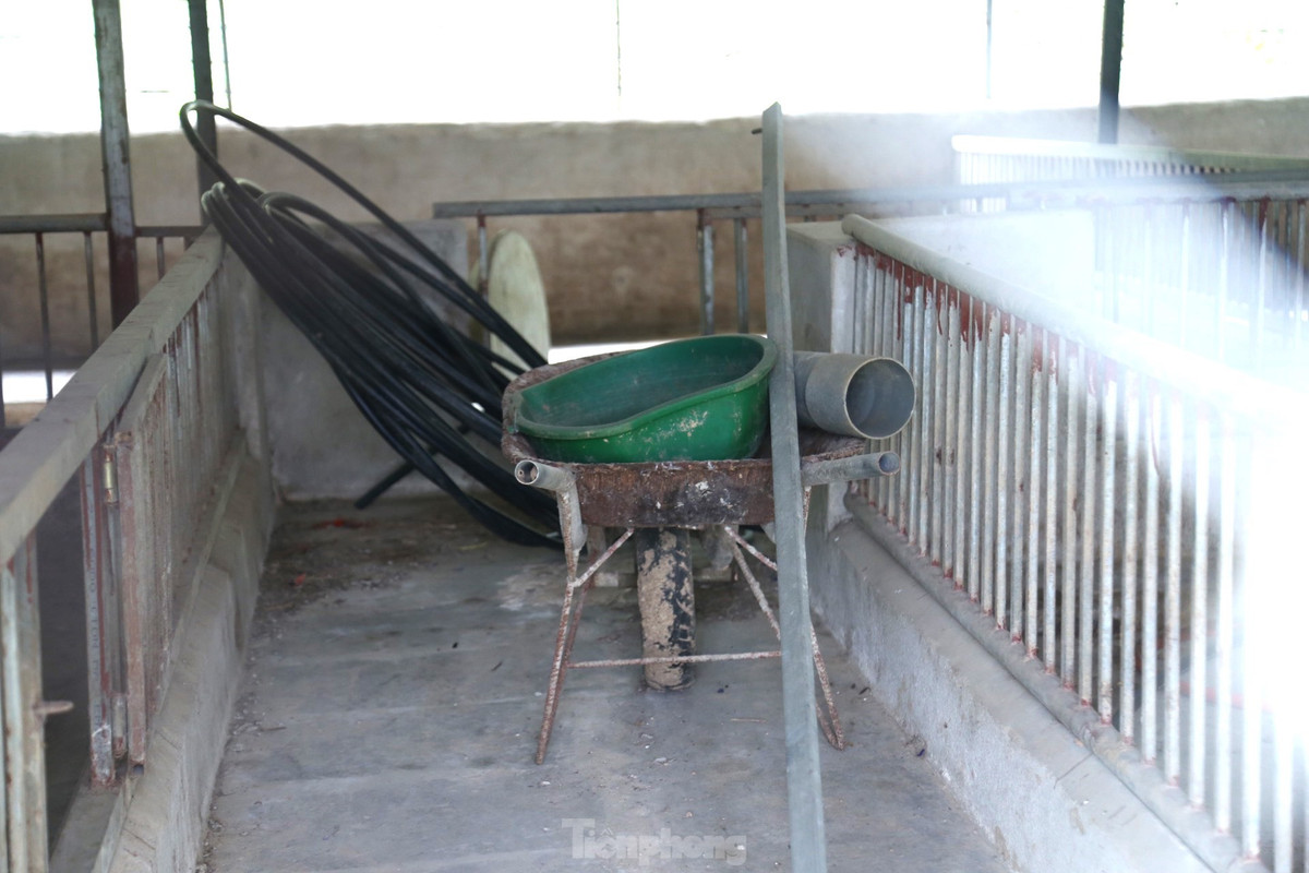 Nhiều tháng nay, gia đình anh Đường quyết định 'treo chuồng' để cắt lỗ