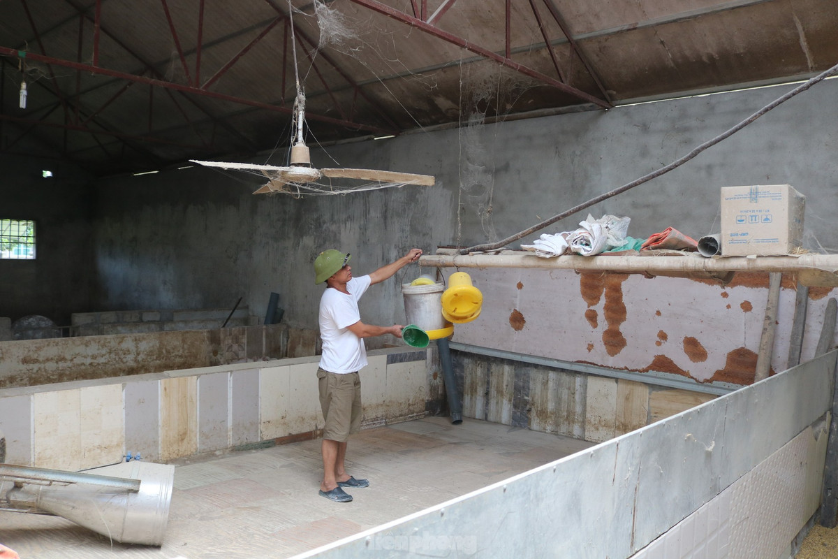 Ông Ngô Đức Quỳnh, Phó Chi cục trưởng Chi cục Chăn nuôi và Thú y tỉnh Nghệ An cho biết, việc đứt gãy chuỗi cung ứng toàn cầu trong năm 2022 tác động kéo dài gây ảnh hưởng lớn đến sản xuất và thị trường sản phẩm chăn nuôi đầu năm 2023, giá bán một số sản phẩm cũng vì thế mà giảm.