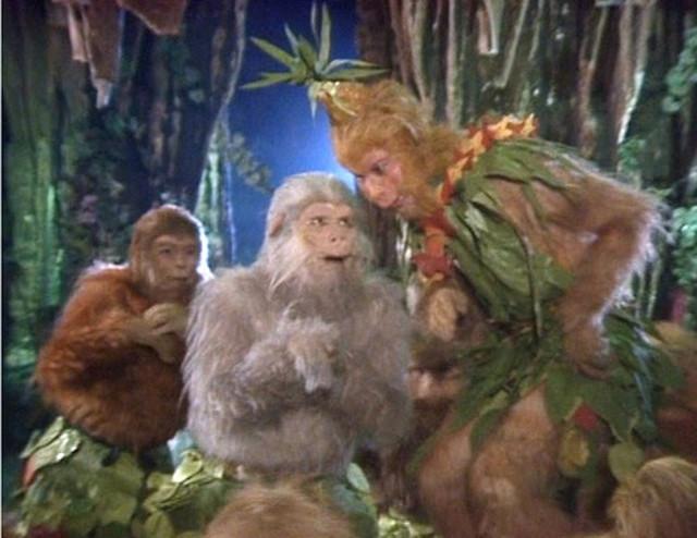 Qua khu hao sac, bat coc thieu nu cua Ton Ngo Khong-Hinh-3