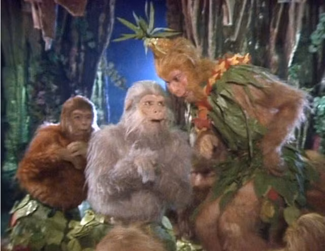 Qua khu hao sac, bat coc thieu nu cua Ton Ngo Khong-Hinh-3