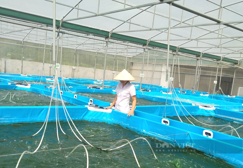 Cap vo chong o Ninh Binh thang lon voi nghe lam tao xoan la-Hinh-4