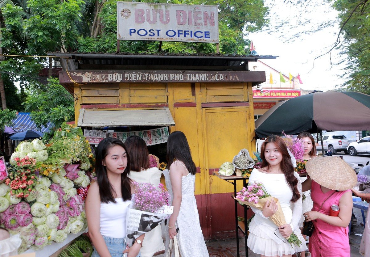 Trao luu chup anh ben xe hoa mua thu Ha Noi phien ban xu Thanh