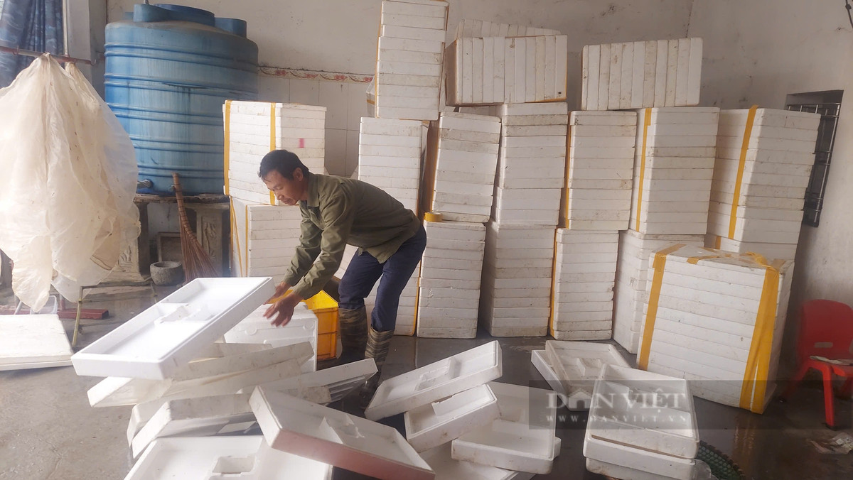 Ra đồng vớt “lộc trời”, dân Hải Phòng làm chơi ăn thật - Hình 6 Ra dong vot “loc troi”, dan Hai Phong lam choi an that-Hinh-6