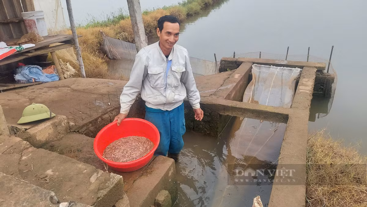 Ra dong vot “loc troi”, dan Hai Phong lam choi an that-Hinh-2