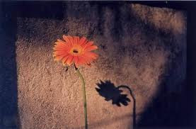 Tháng 7/1878, tiến sĩ Stevens chứng nhận Lurancy hoàn toàn khỏe mạnh cả về thể chất lẫn tinh thần. Ông còn nhận được lá thư viết tay cảm ơn có nét bút của Lurancy khi còn là Mary Roff. Đến tháng 1/1882, Lurancy kết hôn với người Mỹ gốc Anh có tên George Binning. Hai năm sau, họ chuyển đến Kansas và sống hạnh phúc bên 11 người con.