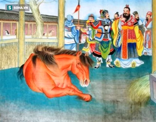 Nhung bi an kho tin ve Ngua Xich Tho noi tieng trong Tam Quoc