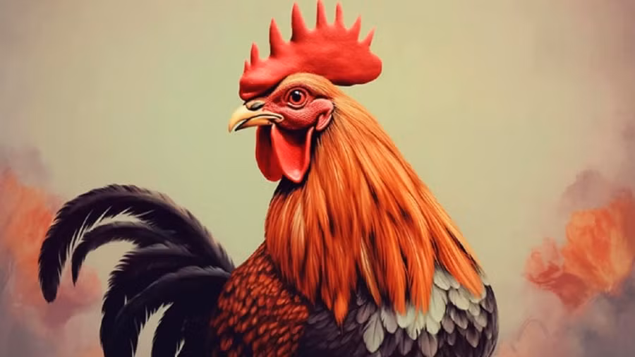 15 ngay nua, 3 con giap nhu Rong cuoi may, lam gi cung ra tien-Hinh-2