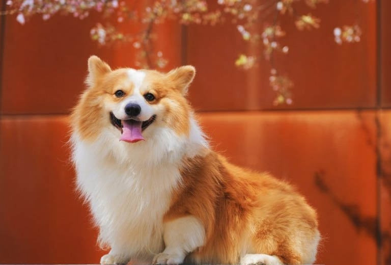 3 tuoi nay phat tai nhanh chong, tieu tien tha ga trong 7 ngay toi