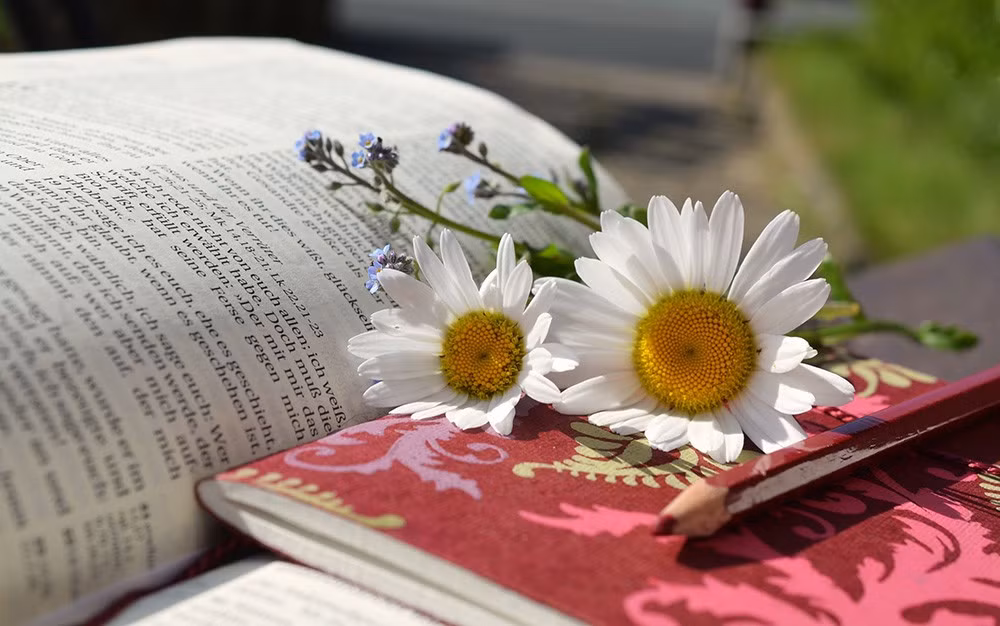 Vận đỏ như son: 3 con giáp có trợ thủ đắc lực - Hình 3 Van do nhu son: 3 con giap co tro thu dac luc-Hinh-3