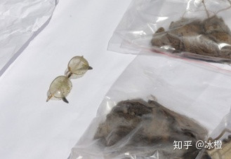 Bi an trong ngoi nha xay ra tham an ” Hoa Lien Ngu Tu”-Hinh-3