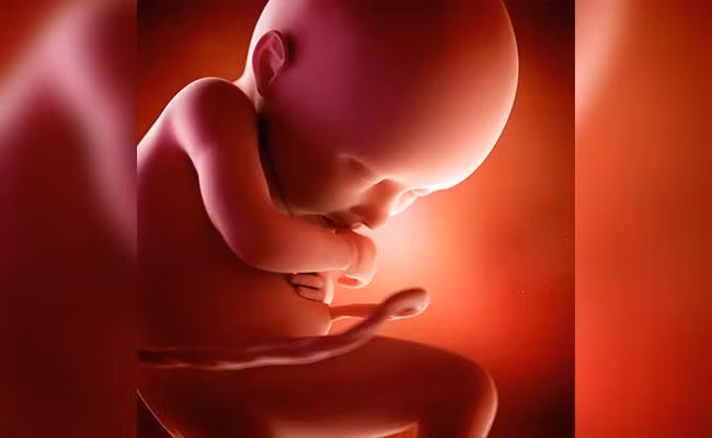 Phat hien bao thai trong hop so cua em be 1 tuoi