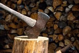 Ke sat nhan bi an o nuoc My dau the ky 20-Hinh-2