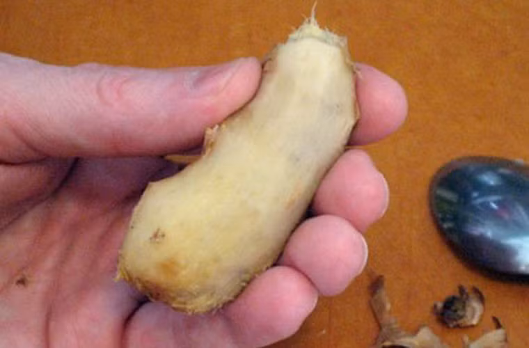 Gọt vỏ gừng với thìa. Củ gừng sẽ trở nên xấu xí, nhăn nhúm khi sử dụng dao sắc để gọt. Thay vào đó, bạn có thể chọn một chiếc thìa và gọt nhẹ nhàng để có củ gừng sạch sẽ và vẻ ngoài trơn bóng.