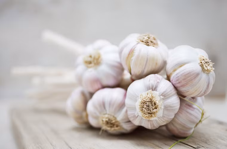 Tỏi. Tủ lạnh là nơi lý tưởng để tỏi nảy mầm, nhiễm nấm và quắt lại. Việc bảo quản tỏi ở nơi khô mát sẽ tốt hơn.