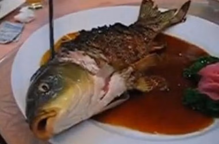 Cá âm dương. Hay còn được biết đến với cái tên cá sống chết. Món ăn này chỉ những người có “máu mặt” mới dám thử. Cụ thể, những con cá chép sống không qua sơ chế được cho vào chảo mỡ chiên giòn cho đến khi chín hết phần thân song phần đầu vẫn còn thở.