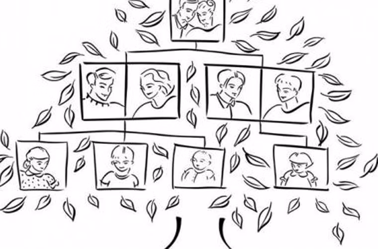  Tiền sử gia đình. Nếu trong gia đình từng có người mắc bệnh thì những người còn lại trong gia đình có khả năng ung thư dạ dày cao hơn. Thực vậy, các nhà khoa học ước tính khoảng 10% các ca chẩn đoán mắc bệnh có liên quan đến yếu tố di truyền.