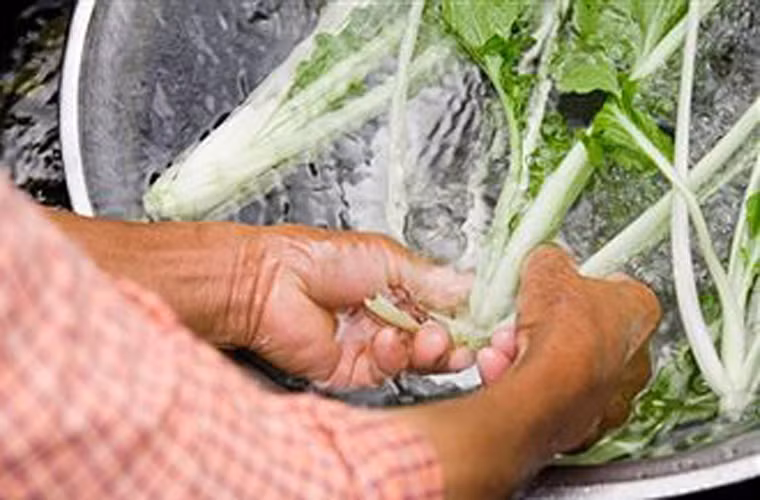 Với các cành rau nhỏ như rau muống, cải xoong, rau đắng... phải rửa làm nhiều lần, sau đó rửa từng mớ nhỏ bằng nắm tay dưới vòi nước.