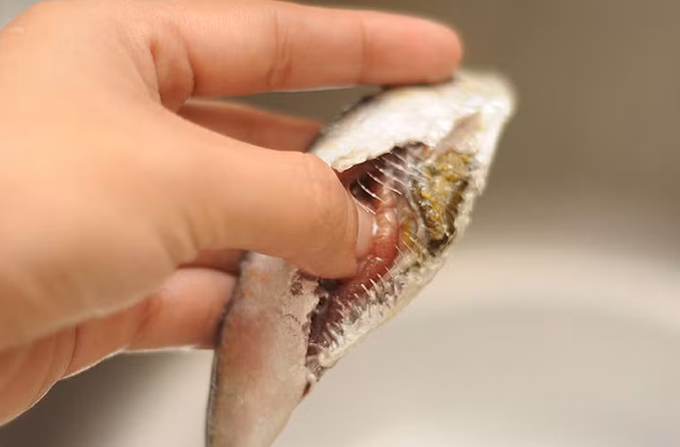 Chú ý trên cơ thể cá, nếu phần thịt dễ bị tách khỏi xương thì tuyệt đối không mua. Những chú cá này có thể là hàng tồn và bảo quản quá lâu.