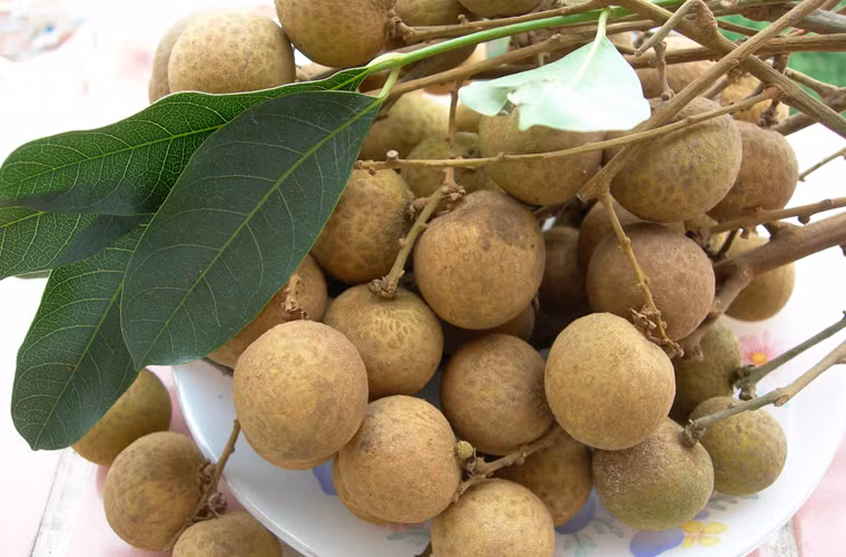 Vặt nhãn khỏi cành để bảo quản. Không riêng nhãn mà nhiều loại quả khác như chôm chôm, vải, các bà nội trợ thường mua quả liền cành vì nhìn có vẻ đẹp và tươi ngon. Tuy nhiên, thực chất kiểu mua quả liền cành lại dẫn đến việc mua 1kg nhưng chỉ được 6 lạng quả và mất đến 3 - 4 lạng cành. Vì thế, nếu không để thắp hương, đi biếu... thì tốt nhất nên chọn quả đã được tách khỏi cành.