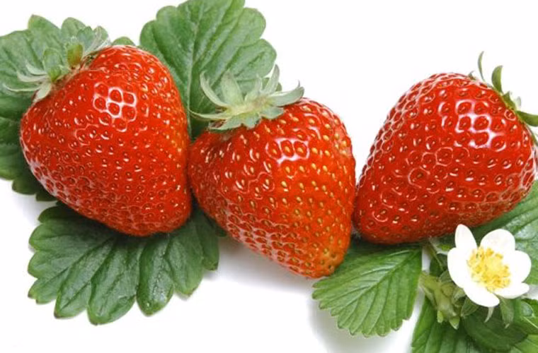 Dâu tây. Nhúng dâu tây qua dung dịch nước - giấm theo tỉ lệ 10:1 rồi để ráo. Bằng cách này, bạn sẽ tăng thời gian bảo quản lên khoảng 2 tuần mà không bị mốc hay ủng.