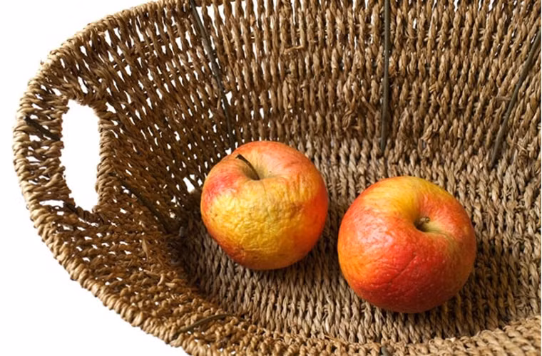 Đặc biệt, nếu một quả táo bị sâu, mục nát thì nó có khả năng thoát ra nhiều khí ethylene và nhanh chóng lan sang quả bên cạnh. Do vậy, các bà nội trợ nên loại bỏ những quả có dấu hiệu bầm tím hoặc thóp mềm, không để chung với những quả khác.