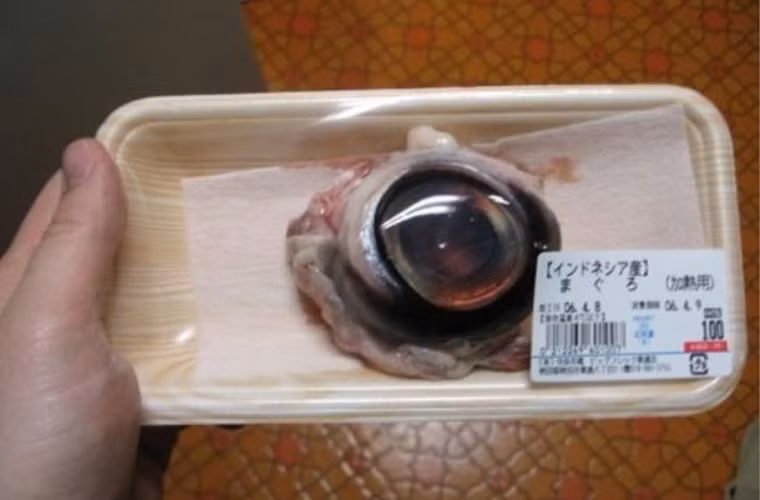 Ngày nay, cá ngừ được đánh bắt, lấy mắt và bày bán phổ biến ở những siêu thị, cửa hàng tạp hóa ở Trung Quốc và Nhật Bản.