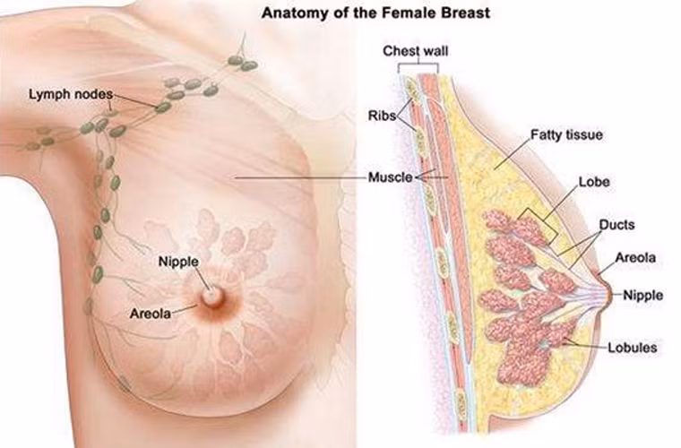 Tuy nhiên, trước khi đưa ra nhận định cuối cùng vẫn cần phải thực hiện nghiên cứu chi tiết hơn.