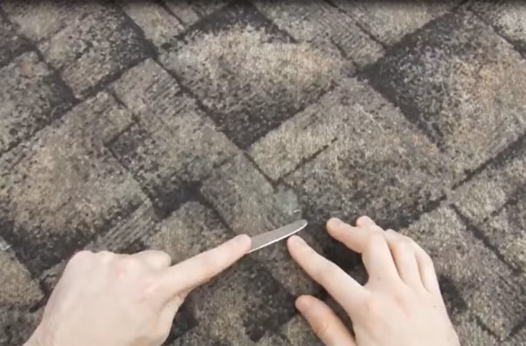 Dùng dao nhỏ, nhẹ nhàng cạy hết phần trên của vảy nến. Bạn không cần phải dùng một lực mạnh bởi điều này có thể làm rách chiếc thảm trải nền đắt tiền.