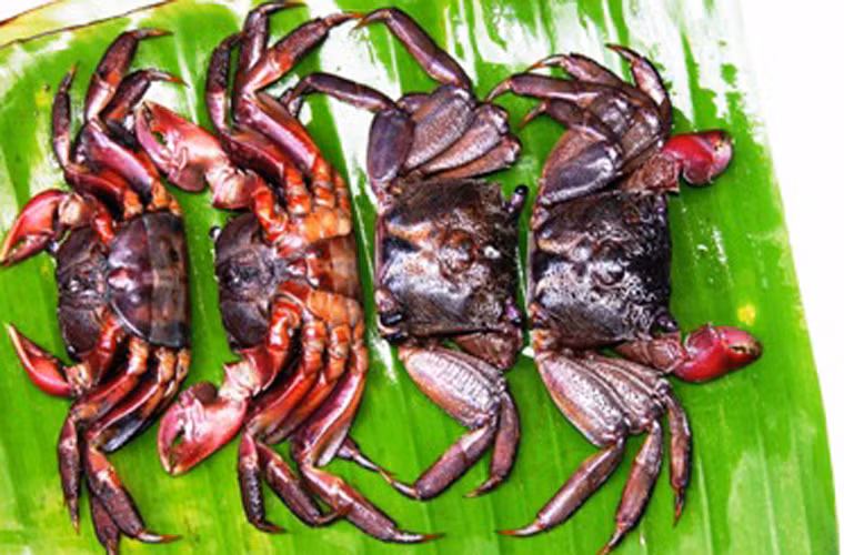 Ba khía. Ba khía sống ở vùng nước và khá giống với loài cua. Người ta thường muối ba khía cho vừa ăn, bẻ ngoe, càng rồi trộn chung với tỏi, ớt băm nhỏ.