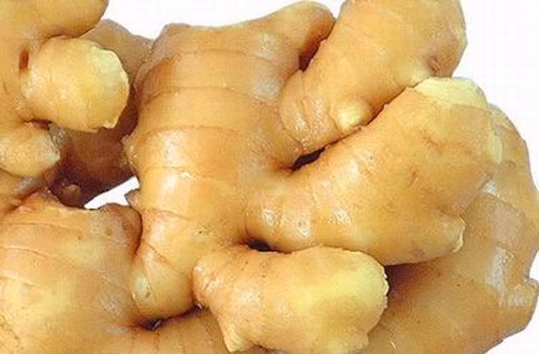 Gừng. Từ lâu gừng đã được sử dụng trong y học dân gian để điều trị các bệnh từ cảm mạo, táo bón. Không những thế, gừng có tác dụng rất tốt trong phòng ngừa ung thư. Bạn có thể dùng gừng ở dạng tươi, bột hoặc làm thành kẹo. Ngoài ra, kết hợp gừng với thuốc chống buồn nôn sẽ đem lại sự dễ chịu cho dạ dày bệnh nhân ung thư.