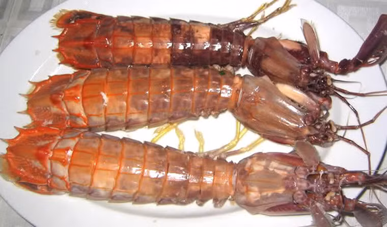 Tôm tít. Tôm tít còn được biết đến với cái tên bề bề. Chế biến tôm tít khá đơn giản. Tôm chỉ cần hấp, luộc, hoặc nướng. Tôm chấm với muối tiêu, chanh hoặc mắm me thôi cũng đủ khiến du khách bốn phương thèm thuồng và lưu luyến.