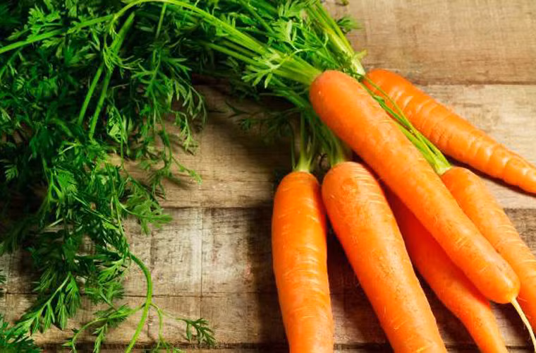 Trước đây, các nghiên cứu ở Trung Quốc từng đưa ra bằng chứng xác thực khẳng định cà rốt giúp tăng cường thị lực, giảm 1/5 khả năng mắc ung thư tiền liệt tuyến ở con người.