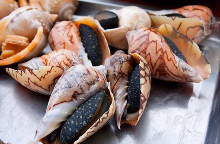 Ốc. Ốc ngon có mày nằm sát bên ngoài, khi đụng tay vào, mày khép lại. Đặc biệt, nếu ốc chết sẽ phát ra mùi rất khó chịu.