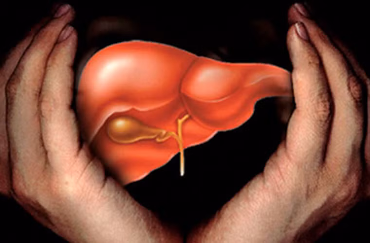 Tuy nhiên, nếu ăn nhiều quả bơ, collagen có thể không được tiêu hóa hết, tích tụ trong gan và gây tổn hại cho gan. Vì vậy, bạn chỉ nên ăn quả bơ với lượng vừa phải.