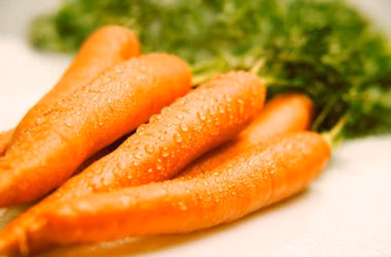 Trước đây, các nhà khoa học từng tiến hành nghiên cứu về tác dụng của cà rốt trong việc giảm viêm và ức chế sự phát triển của tế bào ung thư ở chuột.