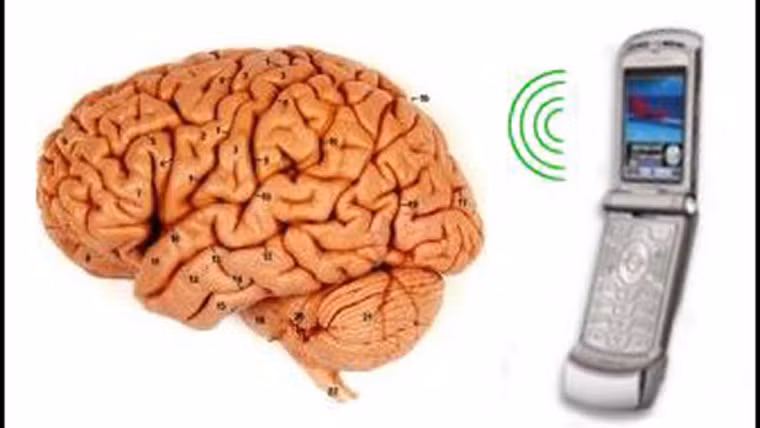 Để đưa ra nhận định trên, các nhà khoa học đã tiến hành phân tích 253 trường hợp u thần kinh đệm và 194 ca u màng não tại 4 quận ở Pháp từ năm 2004 đến 2006. Những bệnh nhân này được đối chiếu với 892 người khỏe mạnh trong nước.