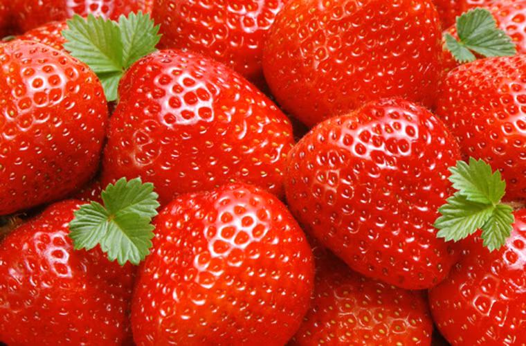 Tong Chen, chuyên viên nghiên cứu đến từ Trung tâm Ung thư bang Ohio (Mỹ) là một trong những nhà khoa học theo đuổi nghiên cứu về khả năng ngăn ngừa ung thư của dâu tây.