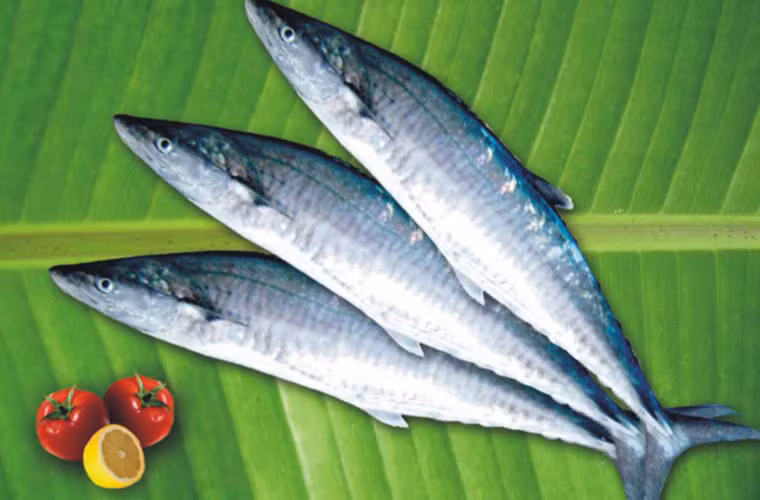 Chọn những con cá thân hình sáng bóng. Khi dùng tay chạm vào, thịt cá nhanh chóng đàn hồi trở lại.