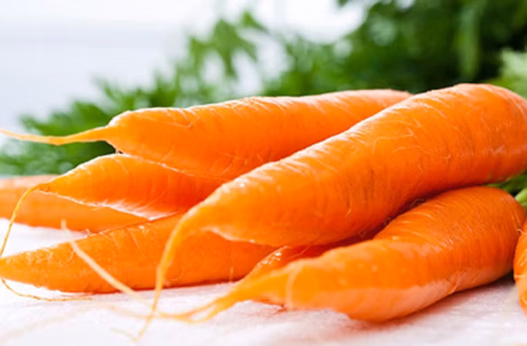 Nhận định trên được đưa ra bởi các nhà nghiên cứu đến từ Đại học Newcastle (Anh). Ở đây, họ phát hiện trong cà rốt có chứa chất polyacetylenes – một chất giúp bảo vệ cây khỏi sự tấn công của sâu bệnh – có khả năng ngăn ngừa sự phát triển của khối u. Đặc biệt, loại chất này chỉ được tìm thấy ở cà rốt và sâm.