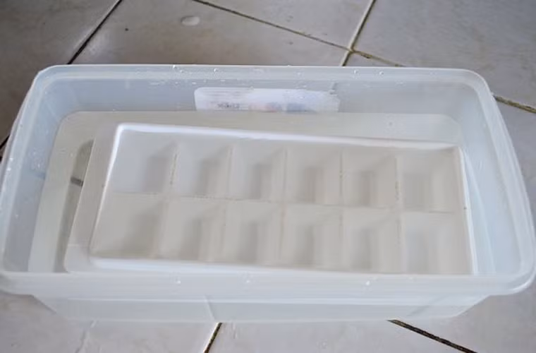 Lần lượt cho các khay đá vào ngâm.