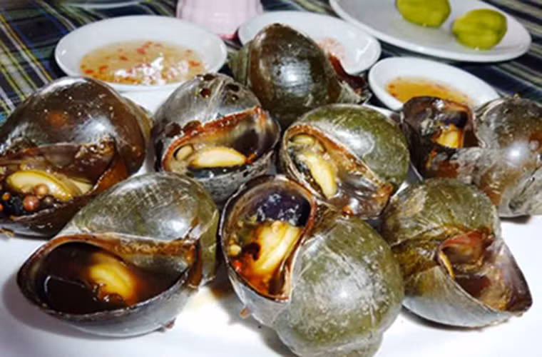 Ốc bươu nướng mắm. Cũng là một món nướng dậy mùi khiến những chiếc bụng đói biểu tình mãi không thôi. Ở món này, bạn có thể cảm nhận vị giòn giòn của thịt ốc vừa hưởng trọn vị thơm đậm của nước mắm mà không cần thêm bất kỳ loại gia vị nào.