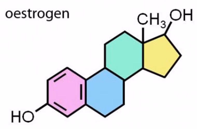 Để khẳng định kết luận này, Viện công nghệ Massachusetts (MIT) đã tiến hành nghiên cứu và chỉ ra sự chênh lệch giữa hai giới tính bắt nguồn từ nội tiết tố estrogen. Ở phụ nữ, hormone estrogen được xem là yếu tố giúp bảo vệ phụ nữ khỏi căn bệnh nguy hiểm.
