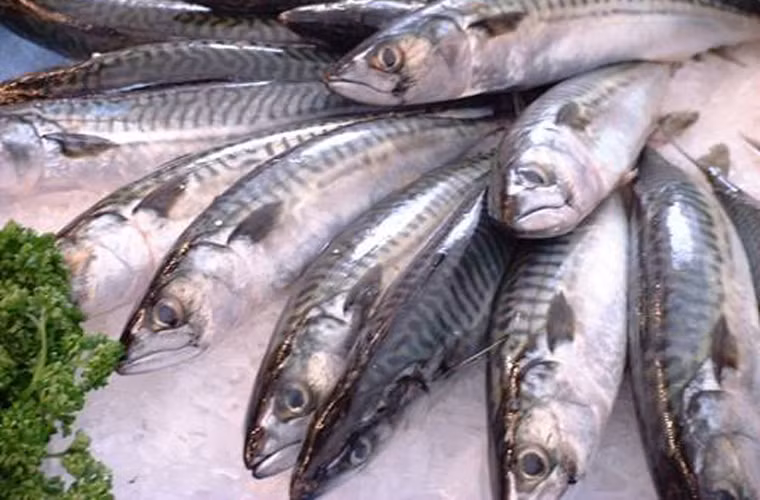 Vảy cá. Cá biển tươi có vảy óng ánh, bám chặt với thân, không có niêm dịch, không có mùi hôi. Ngược lại, vây cá biển ươn thường mờ, không sáng óng ánh, dễ tróc khỏi thân cá, có mùi.